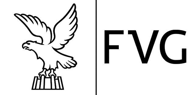 FVG